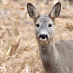 Kontakt relasjon her og nå